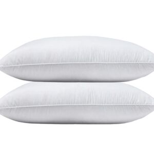 NWOT- Quince Standard White Goose Down Pillow Set Of 2 (Firm)(P4)